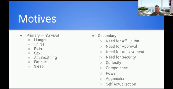 Motives